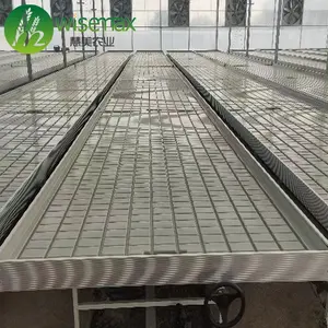 Ebb and flow Commaercial green house fixed grow tables bench