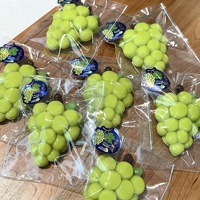 Jouet Squishy en Silicone de Qualité Alimentaire en Forme de Raisin Vert, Fruit Réaliste Anti-Stress pour l'Anxiété et la Relaxation, Unisexe, à partir de 14 ans