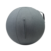 Ballon de yoga de 65 cm et 75 cm avec housse pour la maison et la salle de sport, ballon de stabilité anti-éclatement pour l'exercice, l'équilibre, le Pilates et la préparation au travail de la naissance