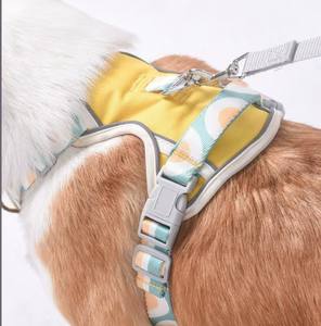 Laisse pour chien tendance avec chaîne en acier inoxydable et sangle de poitrine réglable en tissu Oxford pour chiens de taille moyenne et grande - Product Image 5