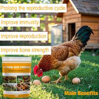 Poudre de vitamine AD3E pour le supplément de booster de croissance de bétail/volaille bovins et ovins, booster d'oeufs, améliore l'immunité couramment