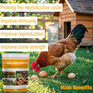 ผงวิตามิน AD3E สำหรับปศุสัตว์/สัตว์ปีกและอาหารเสริมเร่งการเจริญเติบโตของแกะบูสเตอร์ไข่ปรับปรุงภูมิคุ้มกันโดยทั่วไป - Product Image 2