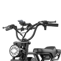 Bicicleta Eléctrica de 48V 20Ah con Neumáticos Anchos, 250W, Modelo HEADEER BK20, Disponible en Almacén de la UE