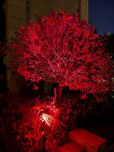 Weerbestendige 5W MR16 RGBCW dimbare slimme led-lamp AC/DC 12V Bluetooth-bediening voor laagspanning tuinspotlicht - Product Image 6