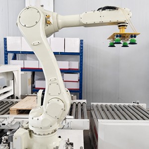 Robot manipulateur stable pour la palettisation, machine automatique de manutention pour les opérations de chargement et de déchargement en entrepôt - Product Image 4