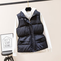 PASUXI Ropa de Mujer Otoño Invierno 2026 Chaqueta Acolchada sin Mangas de Algodón con Cuello Alto Chaleco de Color