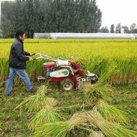 Moissonneuse-lieuse portative autopropulsée de bonne qualité pour la récolte et le regroupement du riz et du blé, idéale pour les petits agriculteurs