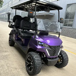 Suspensión independiente 6 pasajeros Turismo eléctrico Carrito de golf Vehículo utilitario Carretera buggy legal