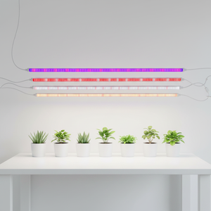 Tube LED de culture intégré à spectre complet <span class=keywords><strong>T5</strong></span> T8, 60 cm 120 cm, <span class=keywords><strong>pour</strong></span> jardin intérieur - Product Image 1