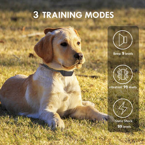 Nouvelle Conception Anti-Aboiement eCollar Aucun Mal Rapide Collier De Choc De Chien de Formation avec Télécommande - Product Image 4