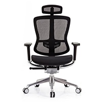 Créez votre propre logo - Chaises de bureau ergonomiques orthopédiques les plus confortables - Chaise orthopédique de travail à vendre