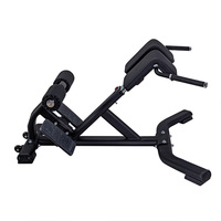 TELLUS Home Gym Machine pliable 45 degrés chaise romaine banc d'extension arrière pour l'exercice et l'entraînement