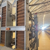Système de cage à batterie de type H, équipement avicole automatique pour l'élevage avicole à haute efficacité