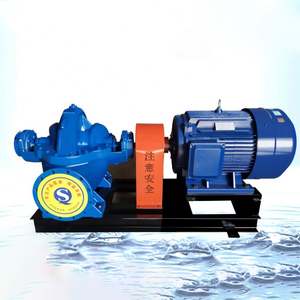 Bomba de Agua Agrícola de Tipo S/SH, Horizontal, de Doble Succión, con Carcasa Dividida - Product Image 5