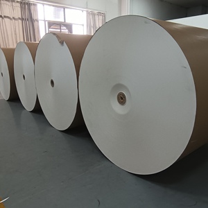 Rollo de Papel con Recubrimiento de PE, Papel Base Blanco Premium con Gran Capacidad de Impresión, Apto para Impresión Flexográfica para Varios Diseños de Empaques Personalizados - Product Image 5