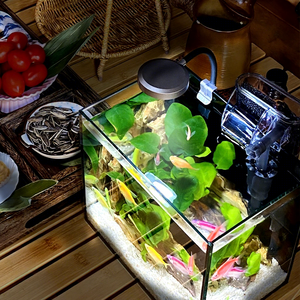 <span class=keywords><strong>Aquarium</strong></span> rectangulaire en verre courbé ultra-blanc Xilong, petit, écologique, pour eau salée, 3L-70L, usage domestique, bureau - Product Image 3