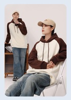 Sweat à capuche surdimensionné personnalisé avec logo brodé, cordon de serrage, 400g, en polaire argentée, à manches raglan, bicolore, pour le printemps