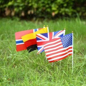 Banderas de Mano Miniatura de Todos los Países del Mundo, 100% Poliéster, Precio Promocional Bajo, para Eventos Deportivos - Product Image 4