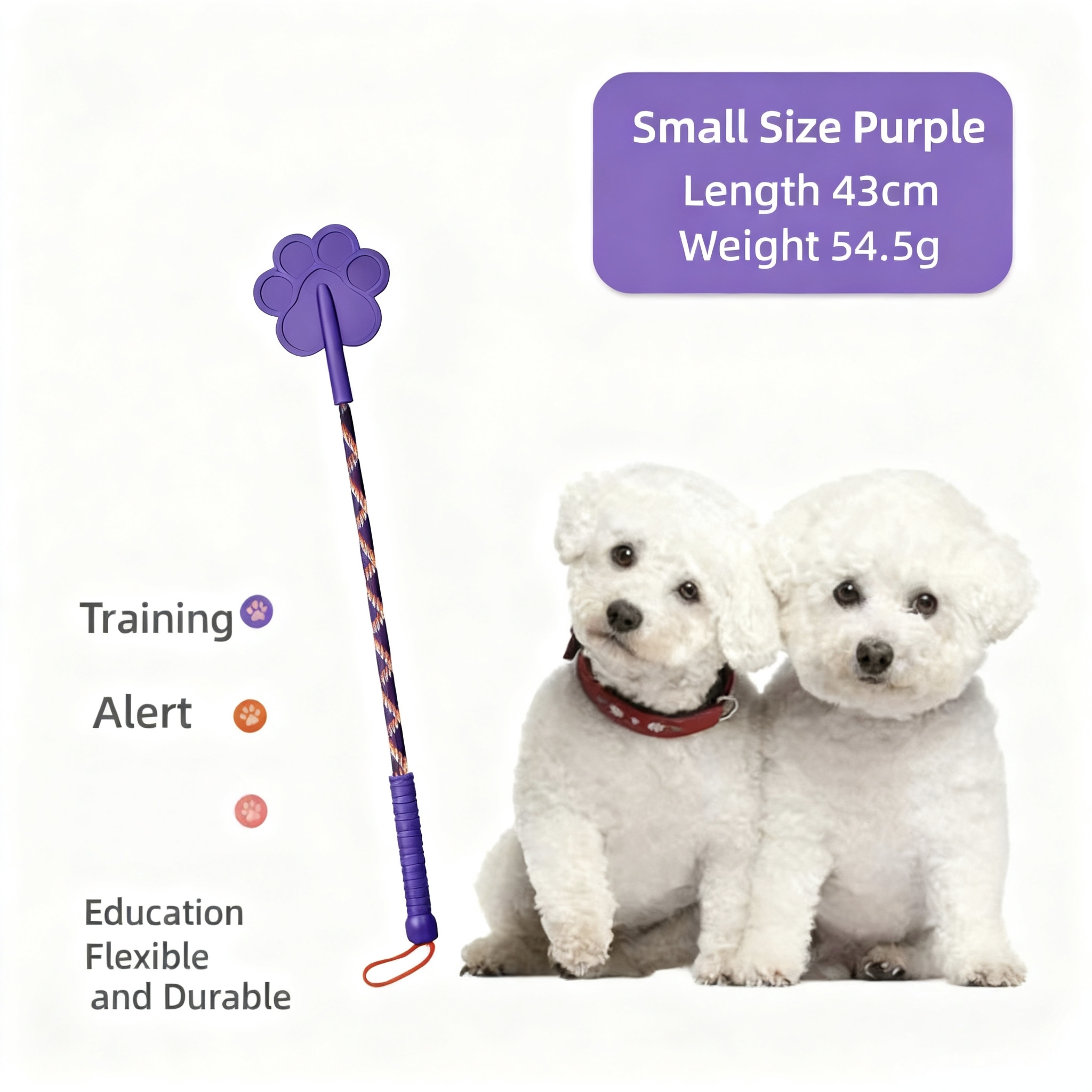 Small - Purple