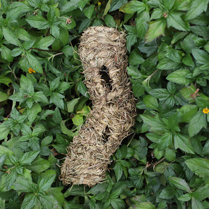 อุโมงค์งานฝีมือทำจากฟางสำหรับทำรังนกและตกแต่งสวน ขนาด M ลายไม่สม่ำเสมอ แหล่งกำเนิดฝูเจี้ยน - Product Image 3