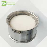 Filtro di Ricambio per Sistema di Scarico Camion, Filtro Antiparticolato Diesel DPF per DAF XF CF 5011531R91, A055F100, A055H506