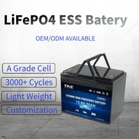 Batterie LiFePO4 TNE pour véhicule de loisirs 12V/24V 100Ah/200Ah 5KW/10KW, pack solaire pour camping-car, 4000 cycles, pour camping-car et caravane