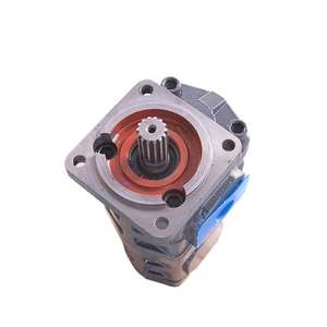 Hansen P2100/J0010 803004128 1155442011 Chargeur de pompe à engrenages hydraulique Tandem Nouveau pour les applications de moteur de vente au détail et de construction - Product Image 6