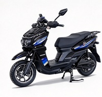 YT High Load 300kg Electric Motorcycle 60-80km/h 70-90km Range High Carbon Steel Frame Front Disc Rear Hub Brake 1000-2000W