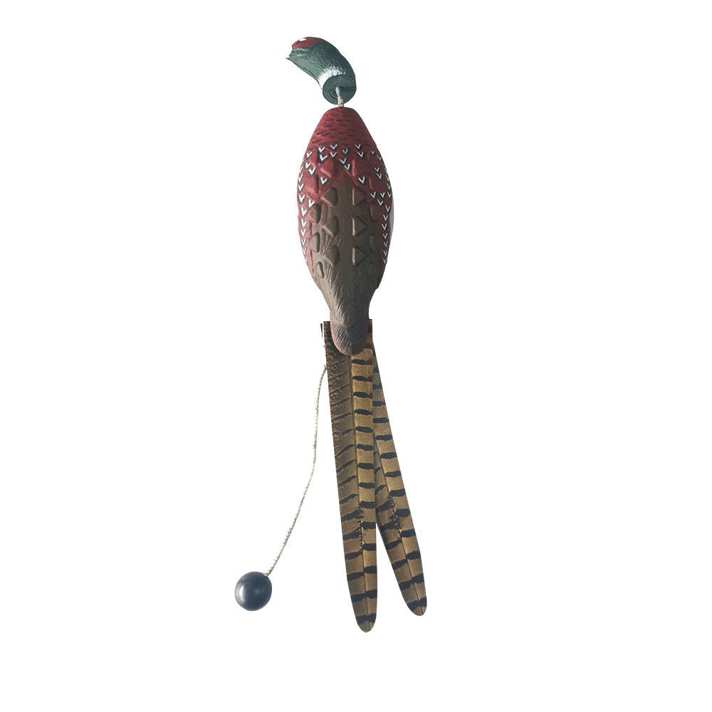 Green-headed pheasant