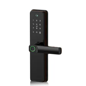 Keyless Entry System Smart Home Remote Control Tuya Camera WiFi Biometric Door Lock App Electronic NFC Door Lock
