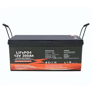 Lifepo4-batería recargable inteligente Bms para coche, paquete de batería de iones de litio para carro de Golf Ev, 12v, 50Ah, 100Ah, 200Ah, 300Ah