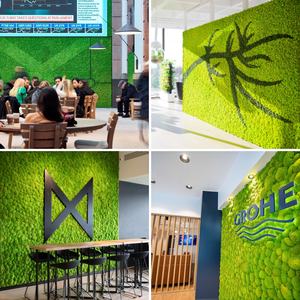 Venta caliente <span class=keywords><strong>flores</strong></span> suaves preservadas plantas musgo de Reno estabilizado Natural para musgo DIY Día de San Valentín Navidad Acción de Gracias - Product Image 4