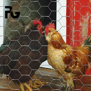 Rete metallica saldata zincata a caldo per penne di pollo maglia saldata in acciaio inossidabile calibro 8 rete metallica esagonale in Pvc rete metallica di pollo