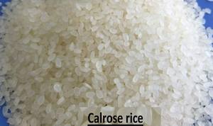 Textura dura del estilo seco de Camolino/arroz de Calrose de Vietnam de la etiqueta privada del OEM PARA LA Sra. Daisy de la exportación - Product Image 4