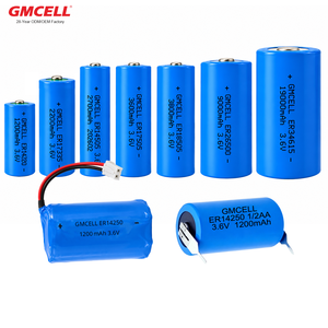 Batteries ER34615 personnalisées pour dispositifs de suivi et d'enregistrement de la chaîne du froid médical, batterie ER LiSOCl2 3,6 V, durée de vie de 10 ans - Product Image 5