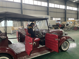 Voiture de tourisme électrique de charme vintage classique Gran Torino pour les lieux de divertissement - Product Image 6