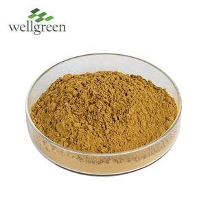 Extracto de cianotis aracnoidea en polvo, suplemento de salud, Beta ecdysterona, moldeador - Product Image 2