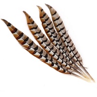 Vente directe d'usine Reeves plumes de faisan grand 35-40CM carnaval casque artisanat motif brut Table déco Costume