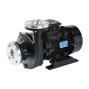 Bomba Centrífuga de Circulación de Agua Caliente de 380V 50/60Hz para TCU con Altura de Elevación de 20m y Caudal de 165L/min, Certificación CE - Product Image 2