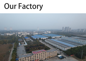 化学物質不使用、非遺伝子組み換えのブラックソルジャーフライ乾燥幼虫は、ペットの免疫システムをサポートする完全な栄養を提供します。 - Product Image 5