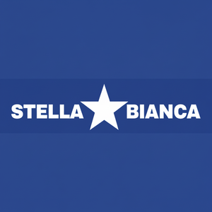 Foret à noyau diamanté électrolytique White Star 60mm pour maçonnerie et béton modèle 067060 - Product Image 1