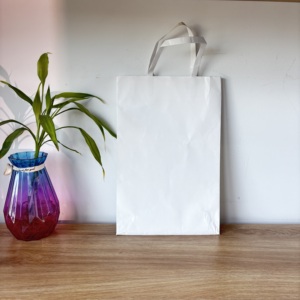 Sacs en papier kraft blanc biodégradables écologiques à faible MOQ 2026 pour l'emballage de champagne, d'aliments et de gâteaux avec votre propre design - Product Image 4