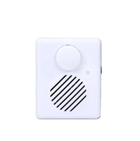 Caja de Música Mini USB de Alta Calidad con Montaje Personalizado, Módulo de Sonido Popular, Caja de Sonido Grabable, Material Plástico, Color Blanco