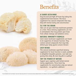 FOE SOUTIEN MÉMOIRE ET NERFS Gommes Santé Hommes Fuge Lion's Mane Gummies - Product Image 2
