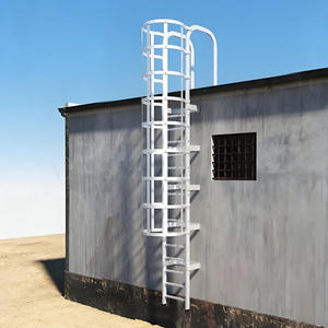 Escaleras de jaula montadas en la pared 2026: Escaleras de <span class=keywords><strong>emergencia</strong></span> para techos industriales de almacenes - Product Image 1