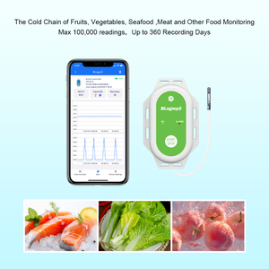 IoT屋内位置情報コールドチェーン温度センサーBLEワイヤレスデータロガー資産温度・湿度データロガー - Product Image 1