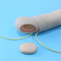 Modèle d'entraînement ADA HS5 grandeur nature entièrement automatique en PVC pour ponction artérielle et injection intramusculaire, artères radiales/ulnaires