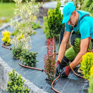 Vườn sử dụng dệt weedmat/nhà máy Vườn Ươm groundcover/<span class=keywords><strong>Weed</strong></span> kiểm soát Mat/PP cảnh quan vải - Product Image 5