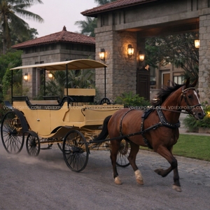 Carruaje Real de Caballos, Decoración de Lujo Vintage para Bodas y Eventos - Product Image 2