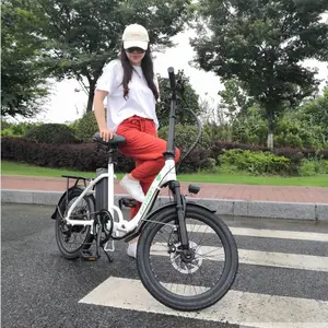 गर्म बिक्री वयस्क दो पहियों कॉम्पैक्ट घुमावदार बीम इलेक्ट्रिक बाइक चीन वयस्कों के लिए 20 इंच बाइक